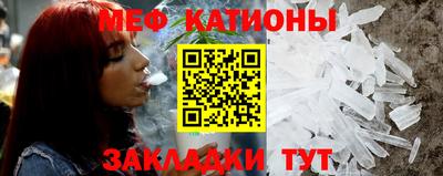 шишки Лесосибирск
