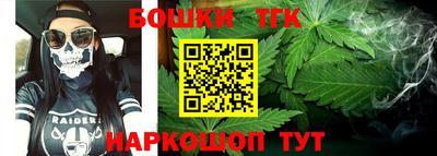 шишки Лесосибирск