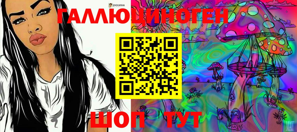 Галлюциногенные грибы Cubensis Балтийск