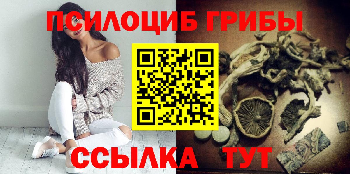 наркота  Псилоцибиновые грибы мицелий  Вход с VPN  Балтийск 